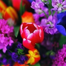 Схема вышивки «цветы»