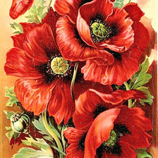 Схема вышивки «Серия "Цветы, букеты"»