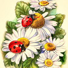 Схема вышивки «Серия "Цветы, букеты"»
