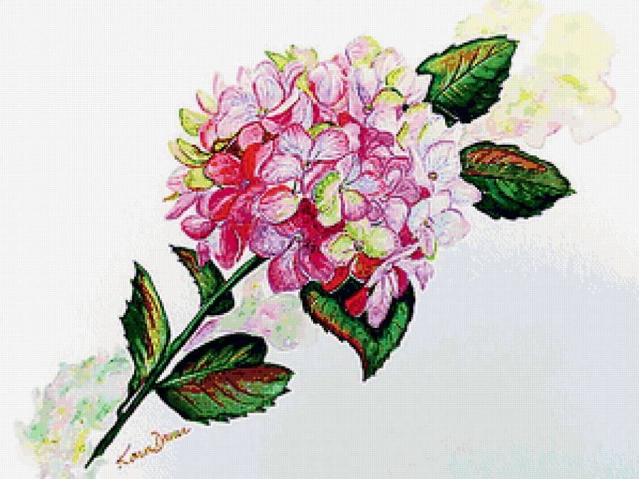 ветка гортензии - акварель, гортензия, картина, панно, ветка, цветы - предпросмотр