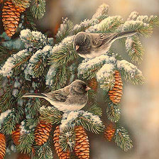 Схема вышивки «Серия "Пернатые"»