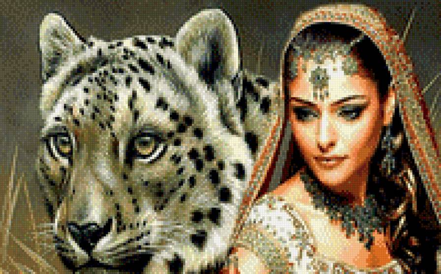 девушка и снежный барс - , барс, индия, красота, девушка, хищник - предпросмотр