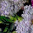 Предпросмотр схемы вышивки «сирень» (№985852)
