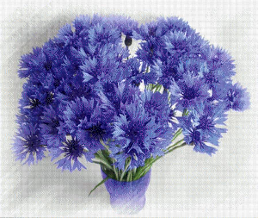 Васильки - васильки, цветы, букет - предпросмотр