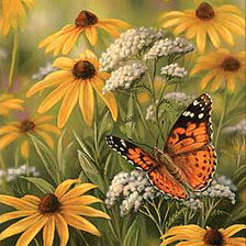 Схема вышивки «Серия "Цветы" Бабочка"»