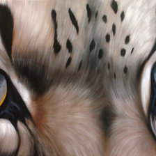 Схема вышивки «глаза хищника»