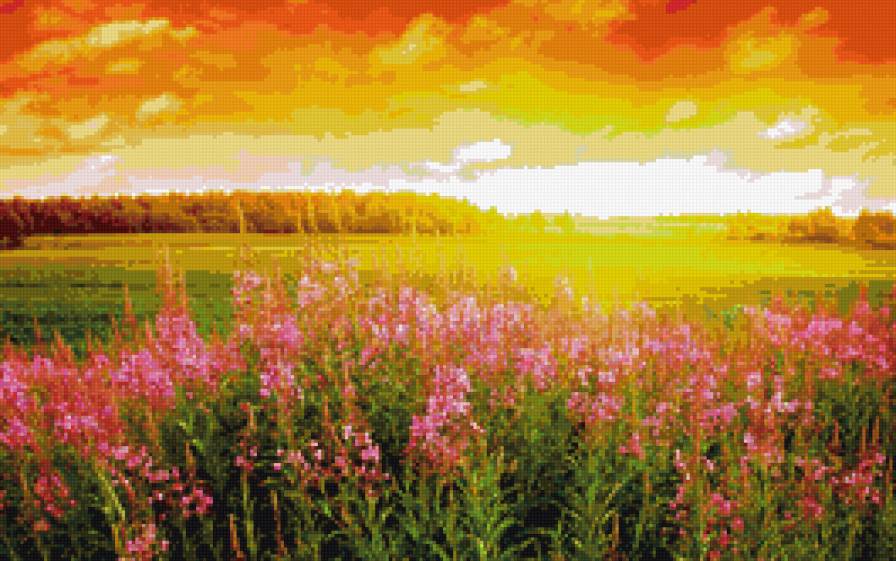 В лучах солнца - природа. луг, цветы, солнце - предпросмотр