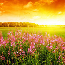 Схема вышивки «В лучах солнца»