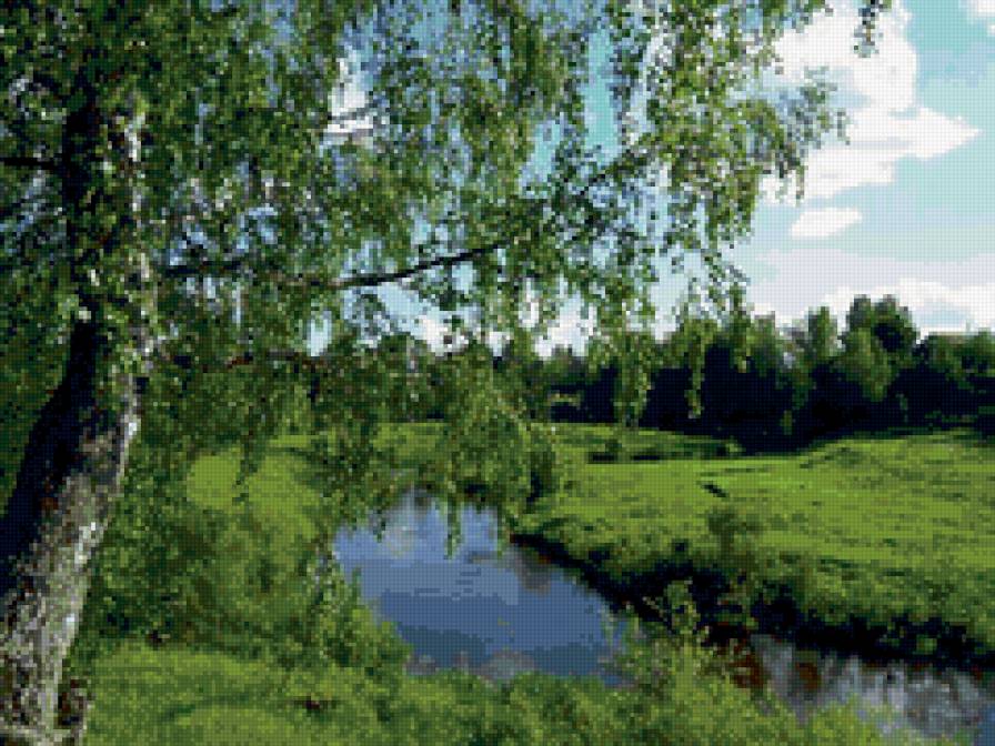 Березка у пруда - предпросмотр