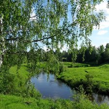 Схема вышивки «Березка у пруда»