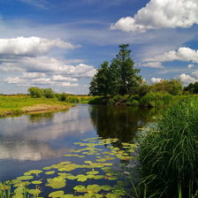 Схема вышивки «Летняя тишина»