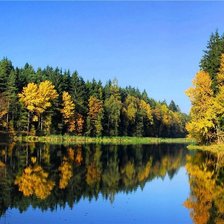 Схема вышивки «золотая осень»