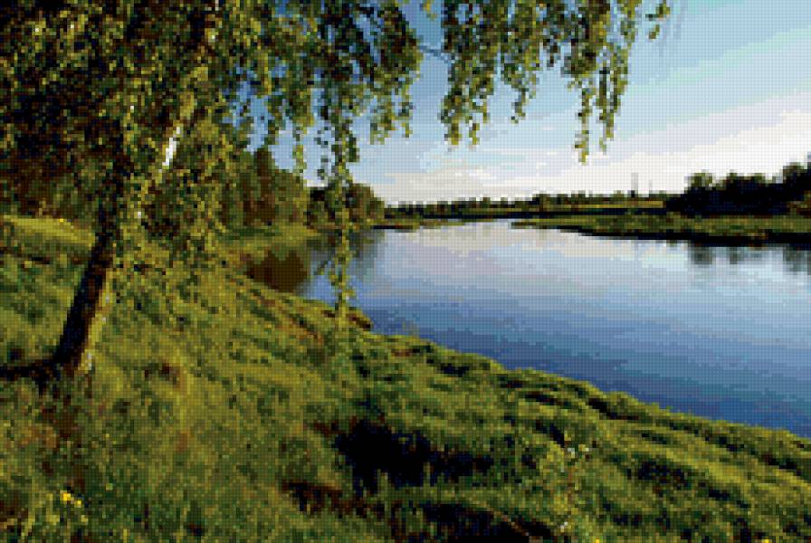 Березка у пруда - пейзаж, природа. пруд, лето, березы - предпросмотр