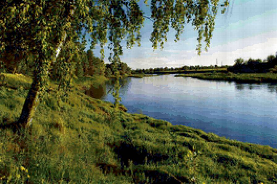 Березка у пруда - березы, лето, пейзаж, природа. пруд - предпросмотр