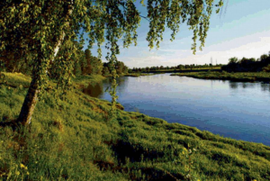 Березка у пруда - пейзаж, березы, природа. пруд, лето - предпросмотр