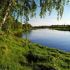 Схема вышивки «Березка у пруда»