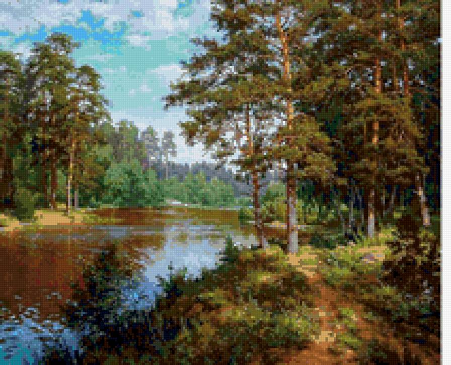 Сосны на берегу реки - природа. пруд, пейзаж, сосны, лето - предпросмотр