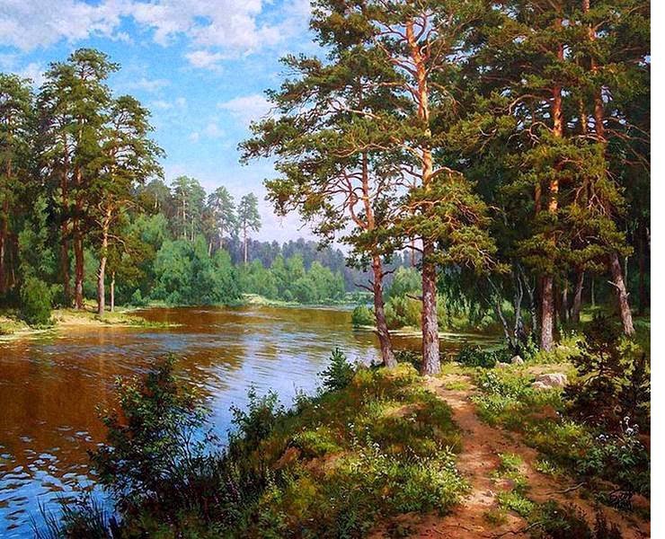 Сосны на берегу реки - пейзаж, сосны, природа. пруд, лето - оригинал