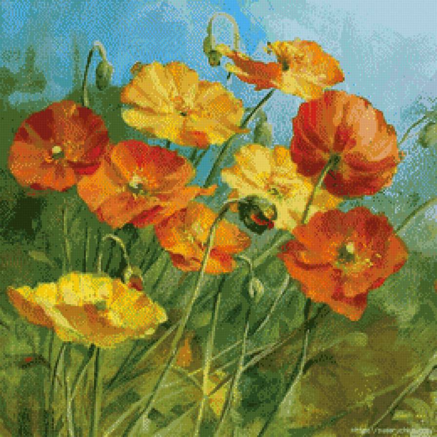Маки - цветы, мак, поле - предпросмотр