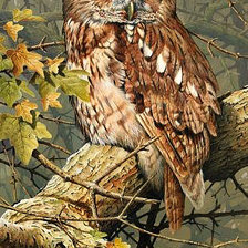 Схема вышивки «Серия "Пернатые"»