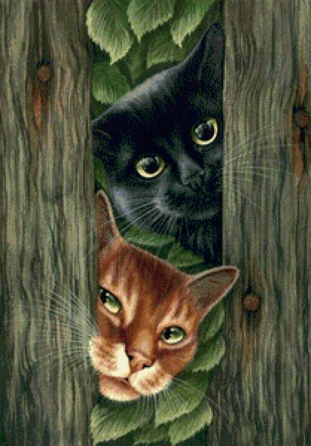 Домашние любимцы - коты - предпросмотр