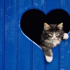 Схема вышивки «№987148»