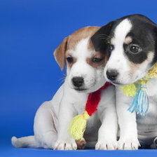 Схема вышивки «№987167»