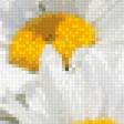 Предпросмотр схемы вышивки «ромашки» (№987477)