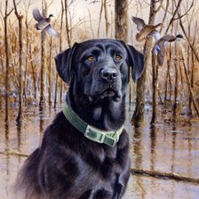 Схема вышивки «Старый охотник»