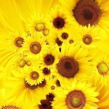 Схема вышивки «№987586»