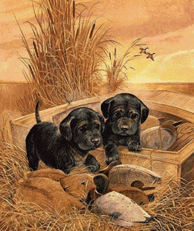 Серия "Домашние любимцы" Маленькие охотники" - предпросмотр