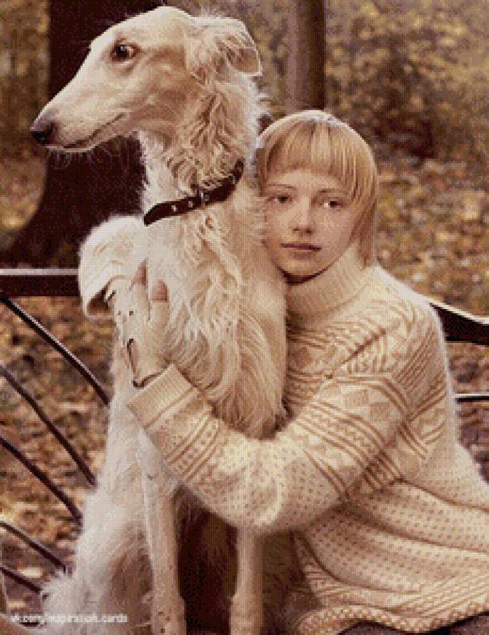 Самая изящная  собака - дружба, люди, животное, собака - предпросмотр