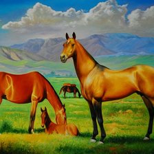 Схема вышивки «Ахалтекинские лошади»