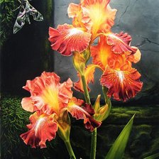 Схема вышивки «ирисы»