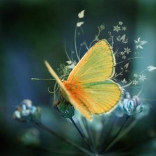 Схема вышивки «бабочка»