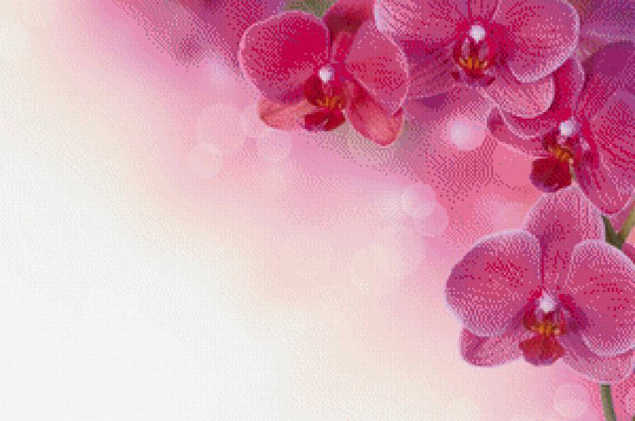 №987959 - предпросмотр