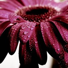 Схема вышивки «№987967»