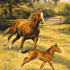 Схема вышивки «Серия "Лошади, кони"»