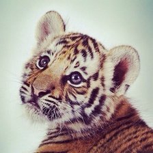 Схема вышивки «милашка»