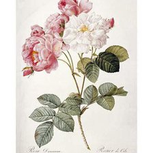 Схема вышивки «№988025»