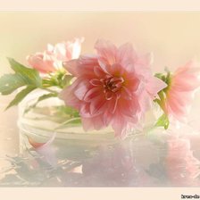 Схема вышивки «Цветы»