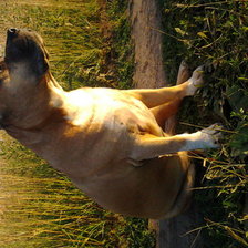 Схема вышивки «Боря»