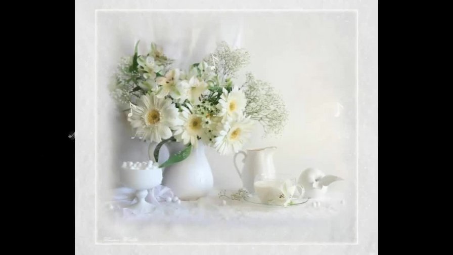 белые герберы - оригинал