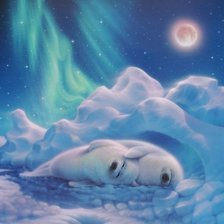 Схема вышивки «Бельки и северное сияние»