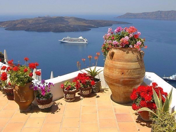 Греческие острова - острова, цветы, море - оригинал