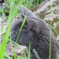 Схема вышивки «Охотник»
