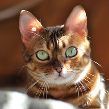 Схема вышивки «№ 96»