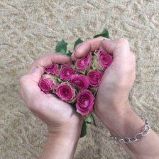 Схема вышивки «Розы»