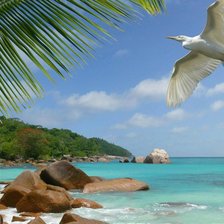 Схема вышивки «остров»