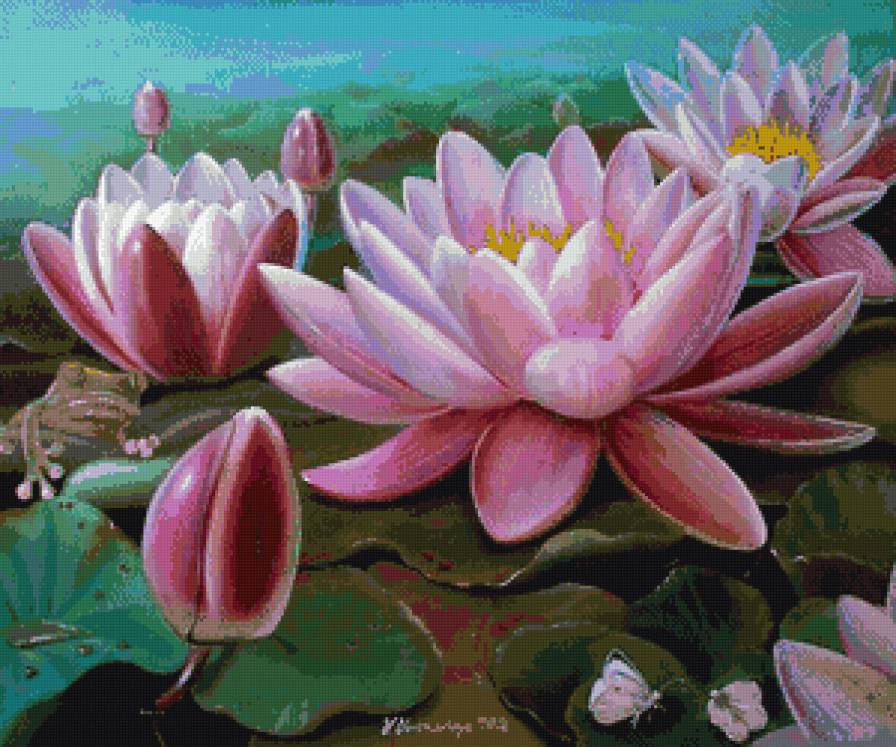 Лотос - цветы, лотос - предпросмотр